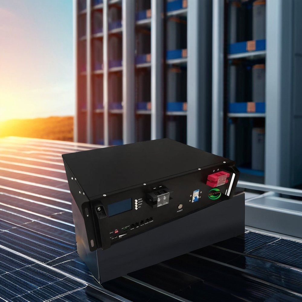 10-Year Warranty 25.6V 48V 51.2V 100Ah Parallel Power Container Rack LiFePO4 Energy Storage Battery LFP