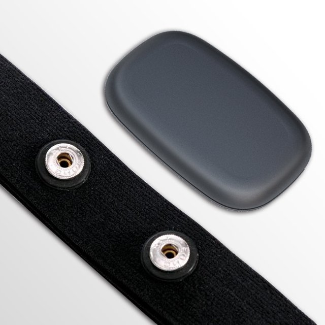 Hot Selling 5.3k Smart wearable health monitor expert Chest strap Fitness Chest Heart Beat Monitor for Gym Group Training