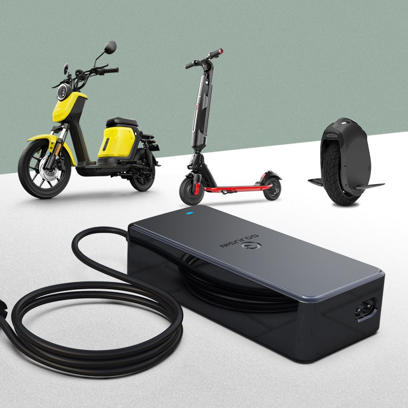 12V 24V 36V 72V 84V 48V Customized EBIKE Lithium ion Lifepo4 E-bike Electric Scooter Battery Charger