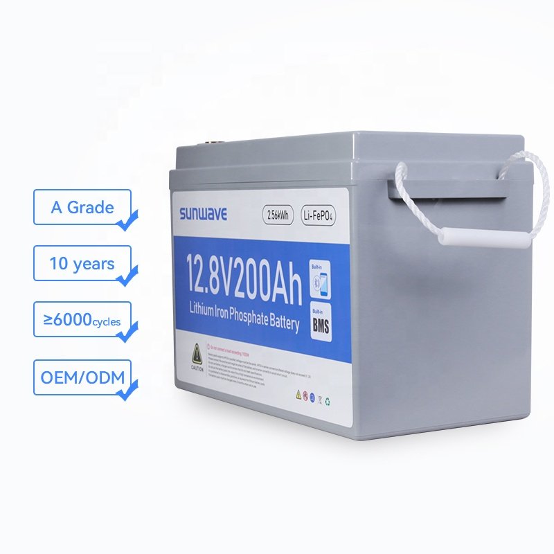 12V 50Ah 100Ah Lithium Ion Phosphate Batteries 20Ah 50Ah 200Ah 250Ah Solar Lifepo4 24v 12.8V Lithium Iron Phosphate Battery BMS