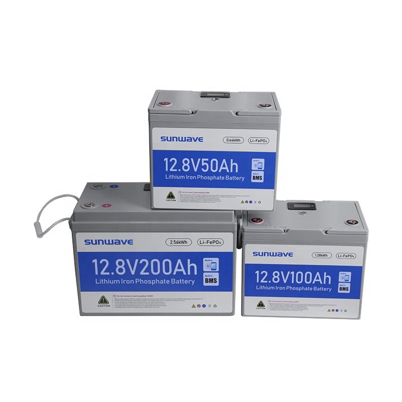 12V 50Ah 100Ah Lithium Ion Phosphate Batteries 20Ah 50Ah 200Ah 250Ah Solar Lifepo4 24v 12.8V Lithium Iron Phosphate Battery BMS