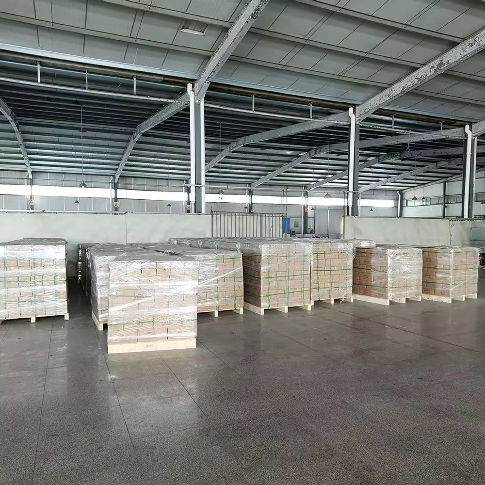 12V 20Ah Battery, Escooter Storage Battery 6-dzm-20 xupai MADE