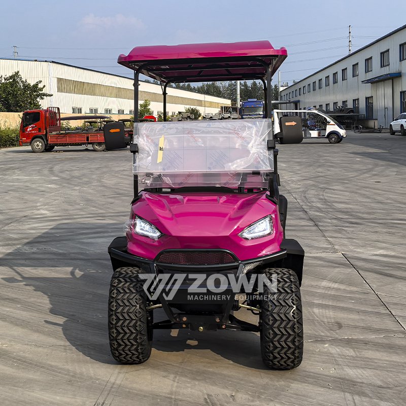 2024 Latest Model Electric Golf Cart Pink Golf cart with accessories 6 seater electric classic club car