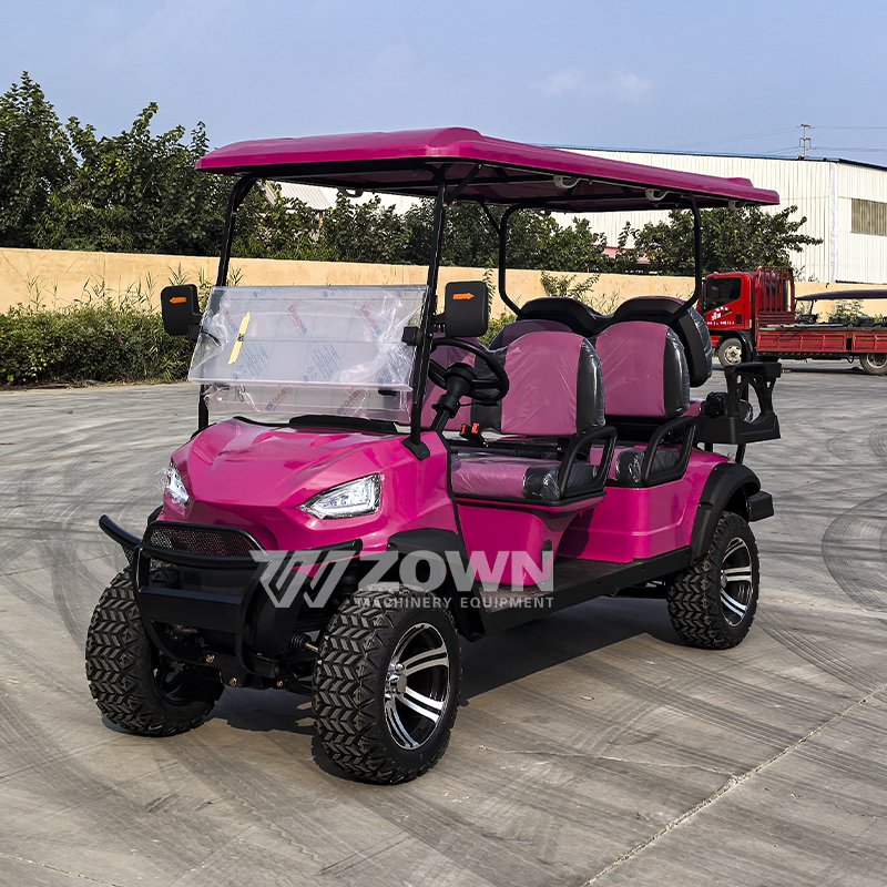 2024 Latest Model Electric Golf Cart Pink Golf cart with accessories 6 seater electric classic club car