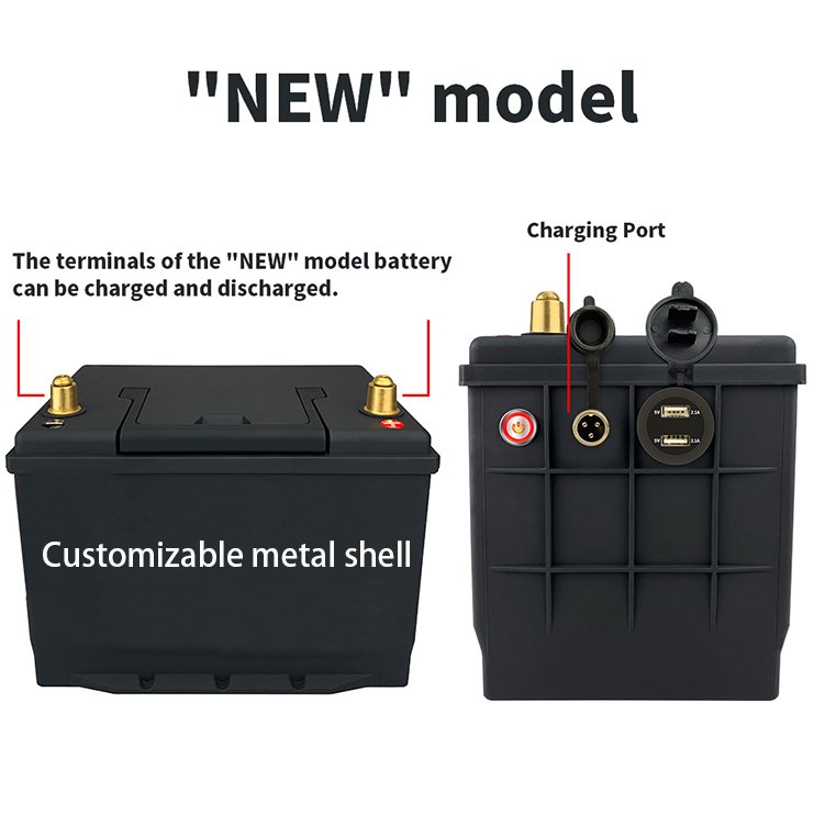 Lithium Battery Rack 12V 100ah 200ah For Energy Power System 48v Lifepo4 Battery