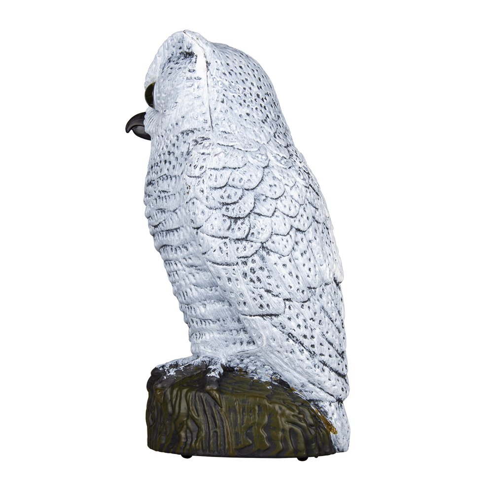 Realistic owl scarecrow with flashing eyes and frightening sound motion activated frightens birds and pests out of your property