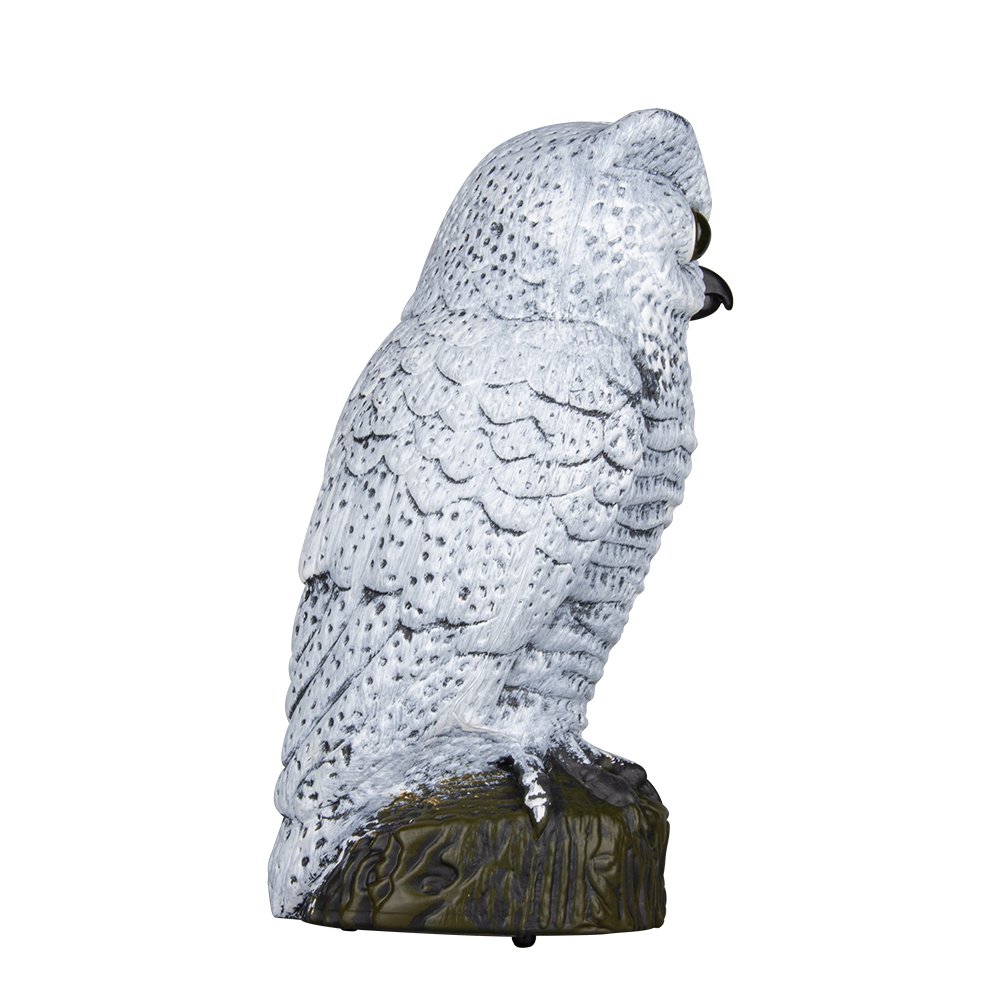Realistic owl scarecrow with flashing eyes and frightening sound motion activated frightens birds and pests out of your property