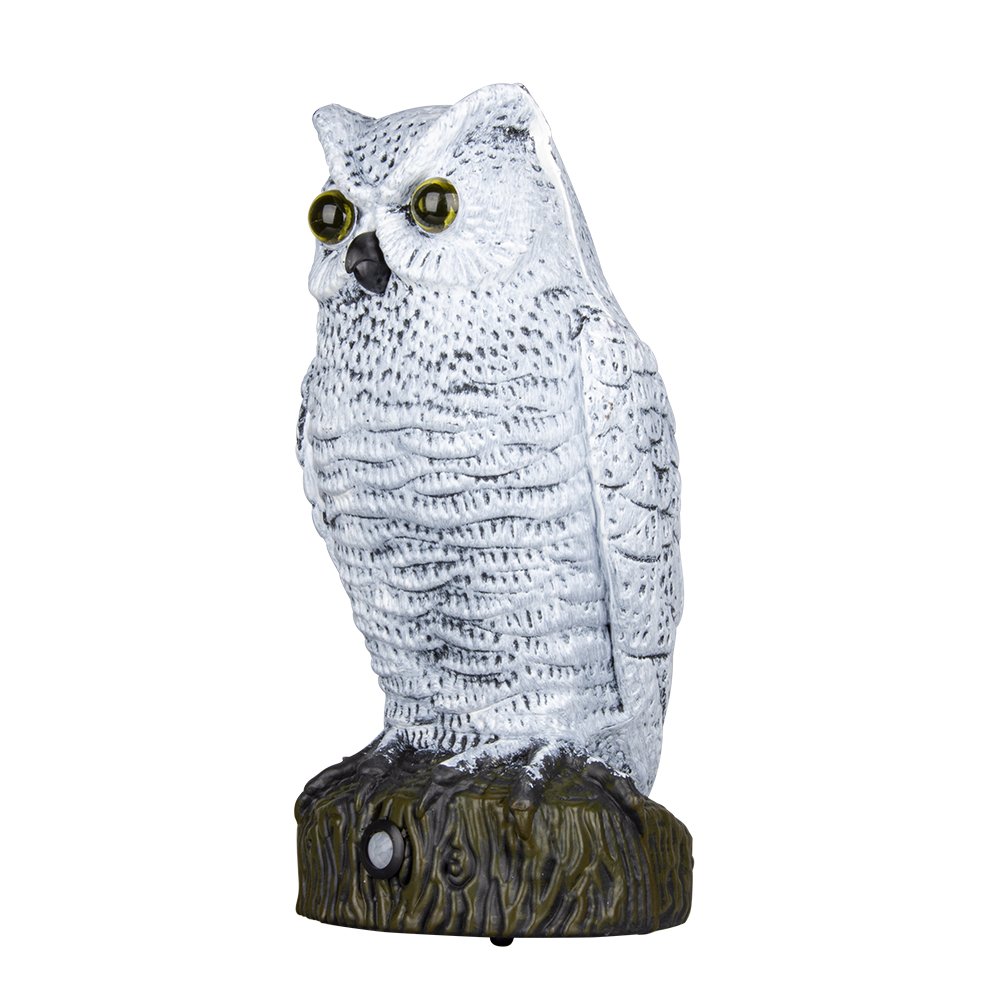Realistic owl scarecrow with flashing eyes and frightening sound motion activated frightens birds and pests out of your property