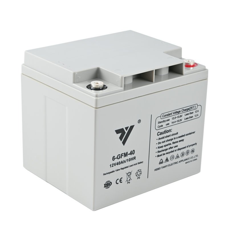 TIANYI Lead-Acid Battery 12V 24AH 20HR Rechargeable Battery For UPS EPS Solar energy Fire fighting Emergency system