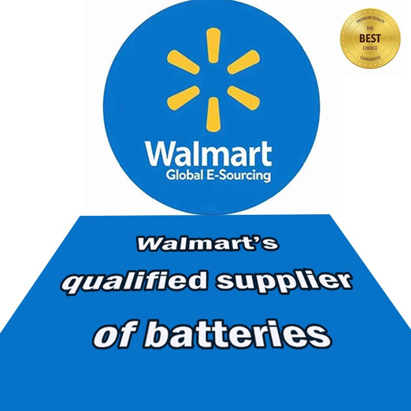 High Capacity 502025 200mAh 300mah 400mah 500mah Polymer Lithium Ion Battery Cell 3.2V