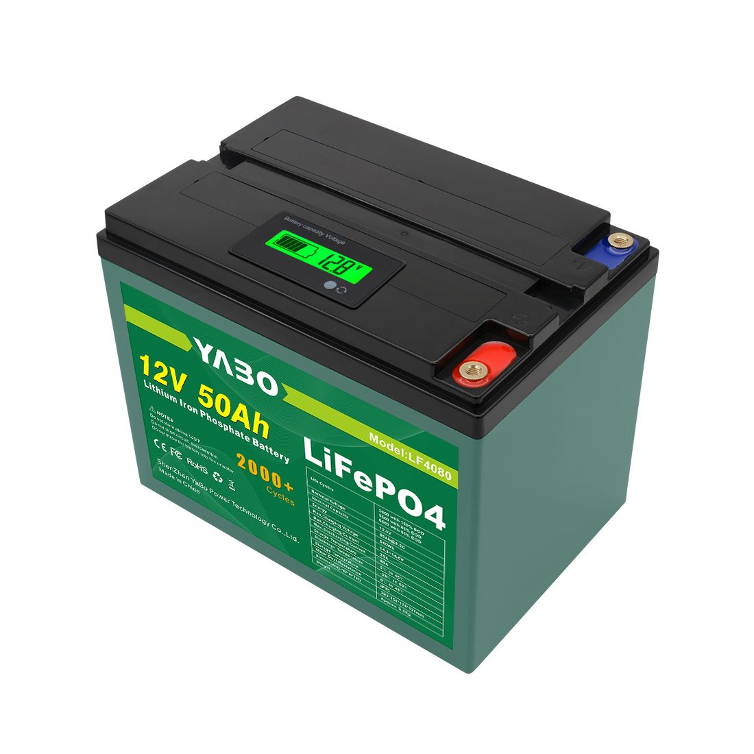 Rechargeable Lithium Ion Battery Packs ODM OEM 36V 24V 25.6V 12.8V 12V 400Ah 300Ah 200Ah 150Ah 100Ah 50Ah 60Ah LiFePO4 Battery
