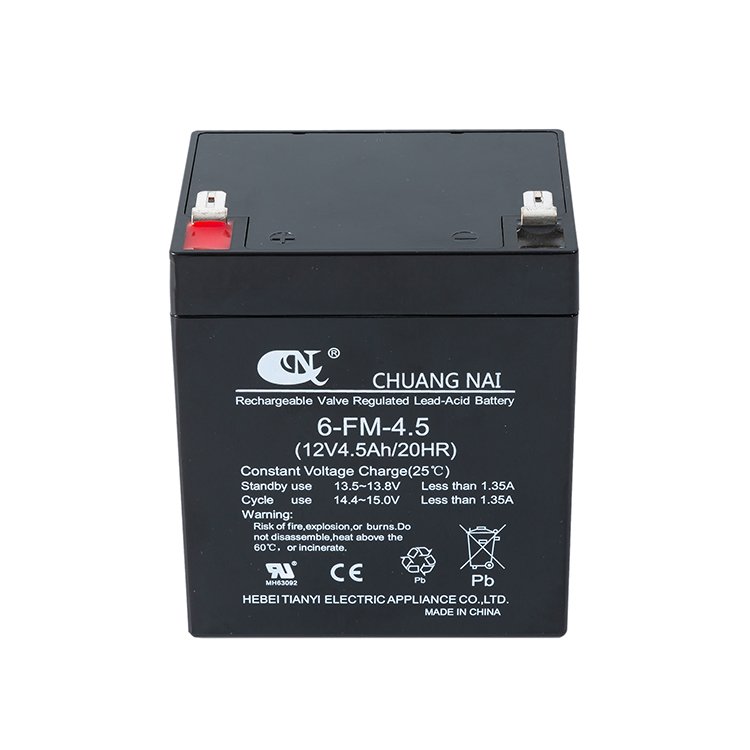 TIANYI Rechargeable Lead-acid Battery 12V 4.5AH 20HR Battery For Toy car kids Electric vehicle