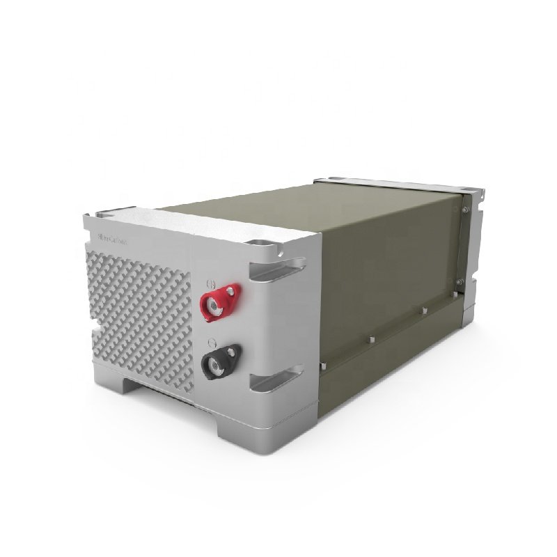 Blue Carbon Solar battery 24V 100AH lithium ion battery UPS 2.5kwh off grid solar power system energy storage system 5y warranty