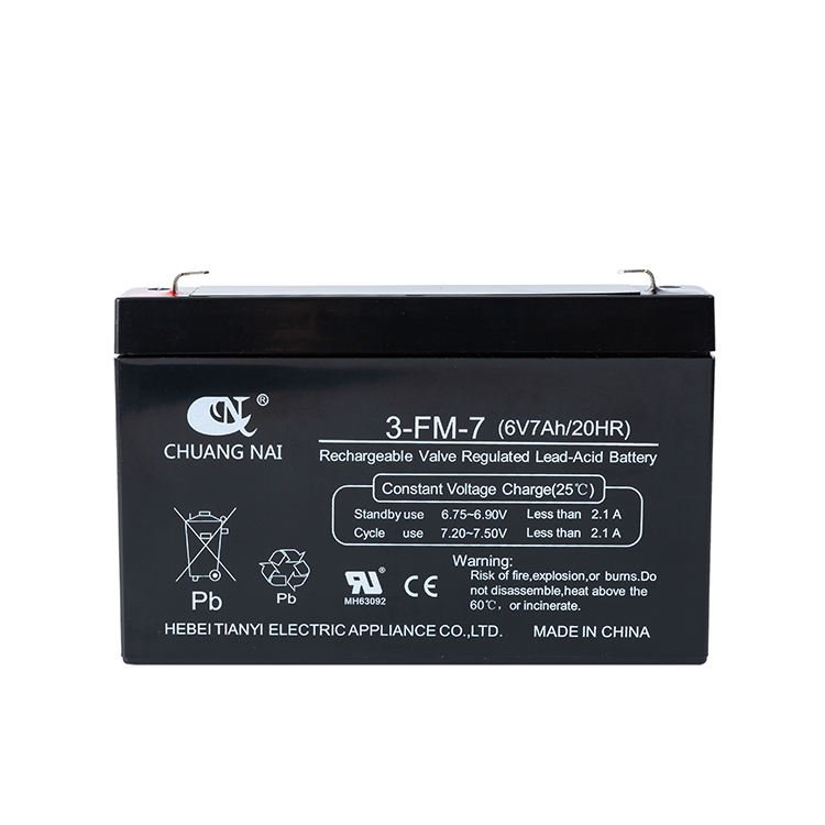TIANYI Kids Electric Vehicle Battery 6V 7AH 20HR Lead Acid Batteries