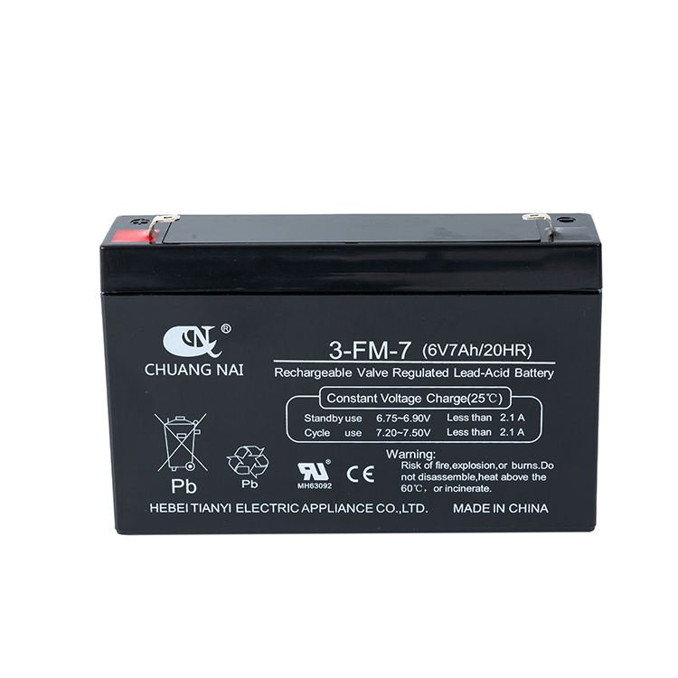TIANYI Kids Electric Vehicle Battery 6V 7AH 20HR Lead Acid Batteries