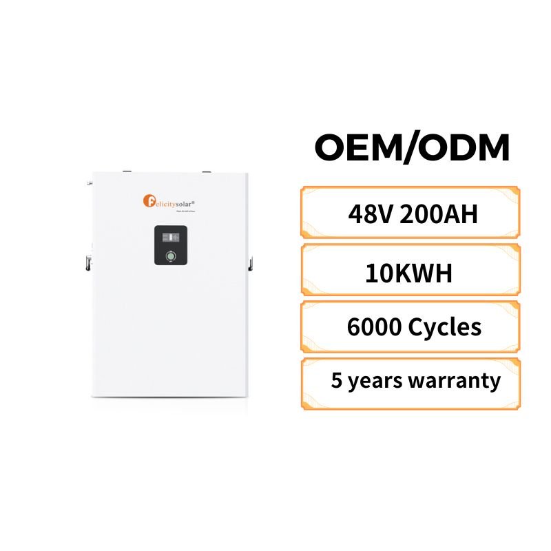 felicitysolar batterie solaire lithium 200ah lithium iron phosphate battery bms for lithium ion battery pack