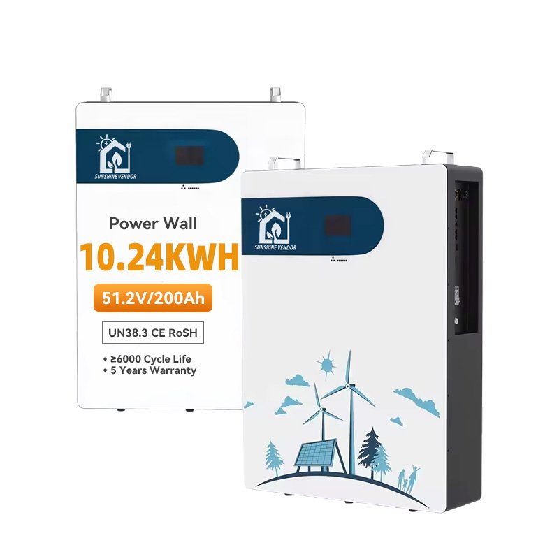 Lifepo4 Battery Pack 48v 100ah 200ah 5Kwh 10kWh Powerwall Home Solar Storage Lithium Ion Batteries