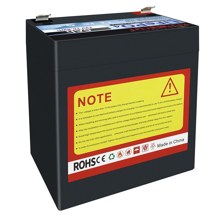 LiFePO4 Battery 12V 24V 36V 48V 6Ah 10Ah 12Ah 20Ah 30Ah 50Ah 60Ah 100Ah 150Ah 200Ah 300Ah Deep Cycle Lithium Ion Battery 12V