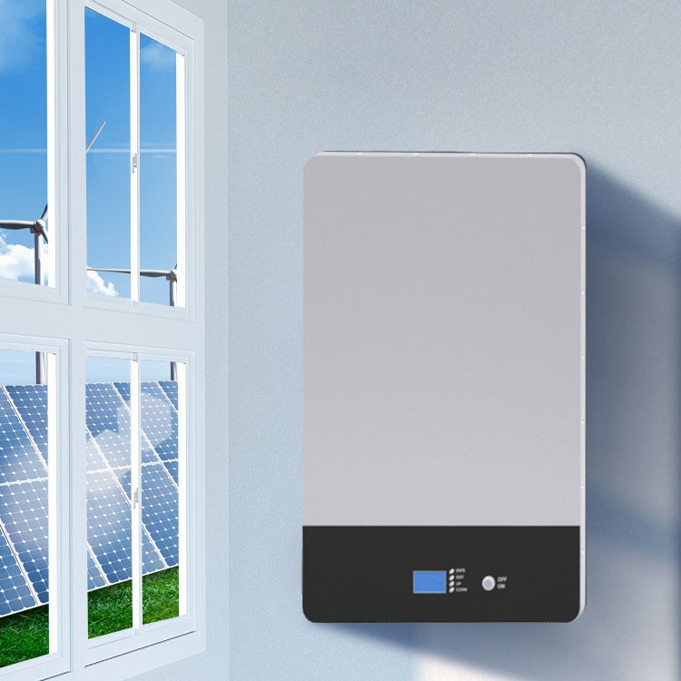 Wall Mounted LifePO4 Lithium-Ion Batteries 48V 200A Factory Direct Supply Price Solar Home System