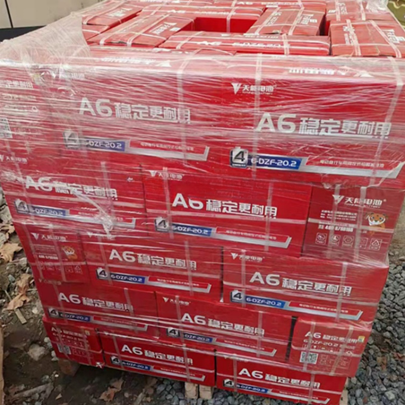 CE certificated long service life 12V20ah 6 dvf 20 Agm Maintenance Free VRLA Lead acid battery