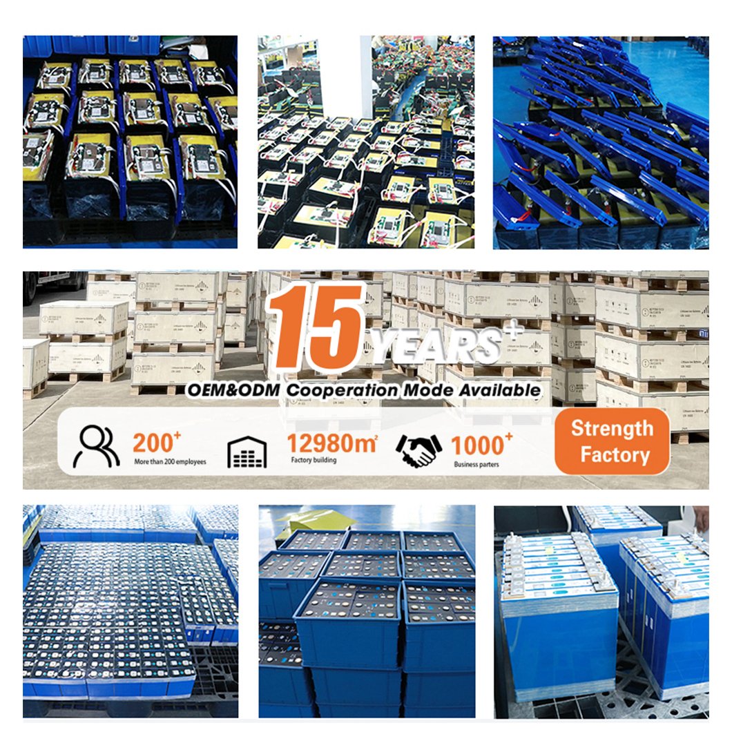 Best price Li ion battery 12V to 51.2V 7/10/12/20/40/75/80/100/150 Ah Li-ion battery for Golf Carts