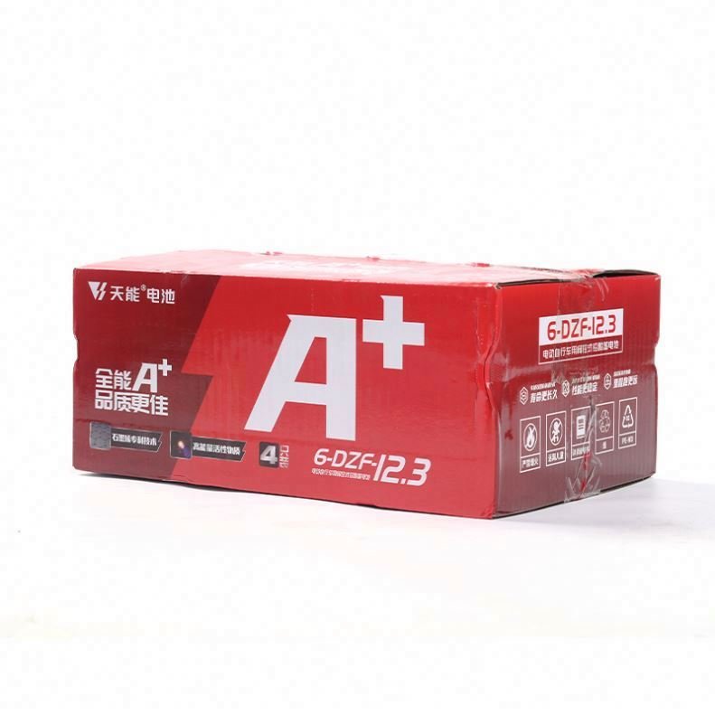 Deep cycle ebike Inner case battery 48V 12.3ah lead acid battery pack for electric bicycle