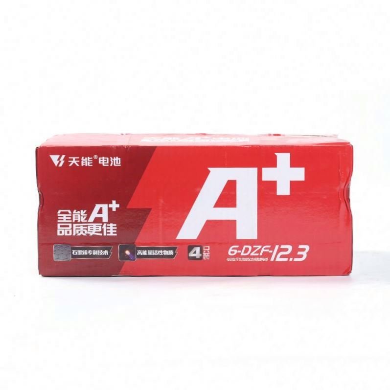 Deep cycle ebike Inner case battery 48V 12.3ah lead acid battery pack for electric bicycle
