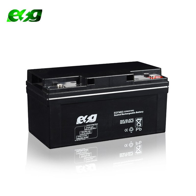 ESG MF Long life Deep Cycle 12V24v 100ah150ah 250ah Lead Acid Storage 200ah gel solar AGM battery