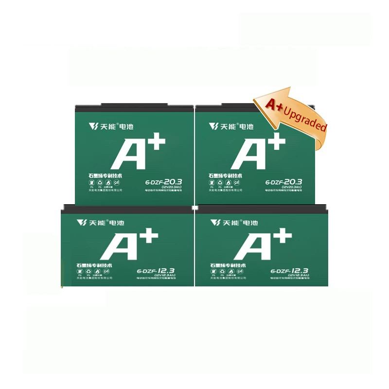 Tianneng Battery 6-DZF-20.2 96V20AH 12v Lead-acid Battery 48v 20ah Lead Acid Battery