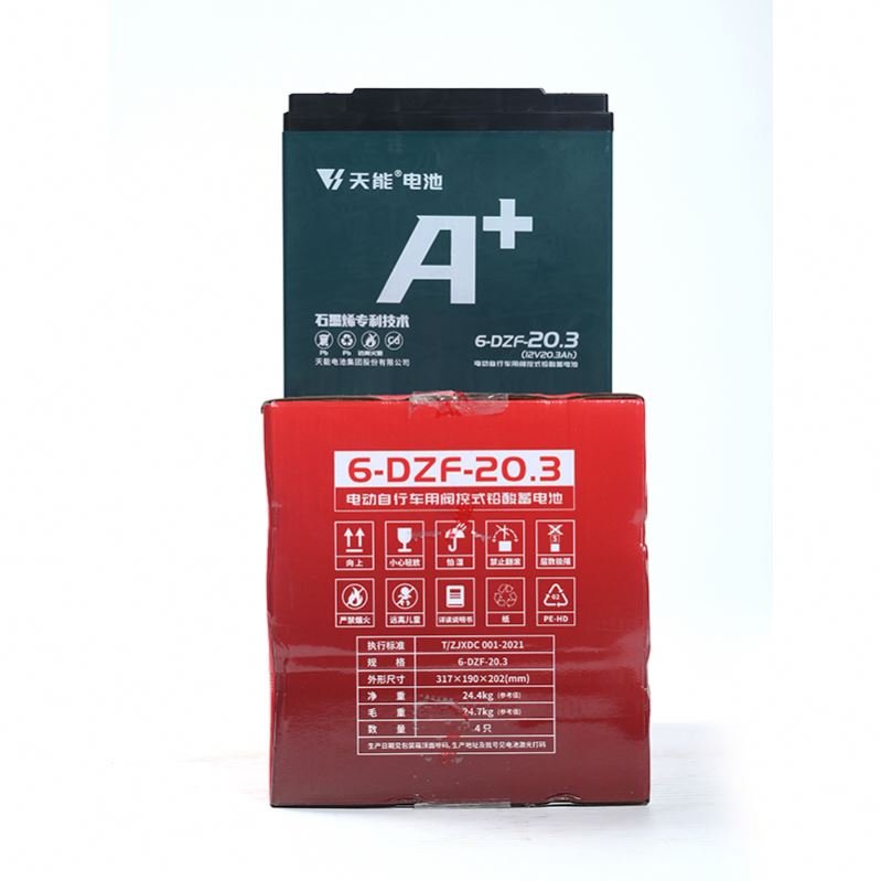 Factory Factory Ebike Battery Pack 24v 36v 48V 20.3Ah Lead Acid Battery For Electric Bike/scooter