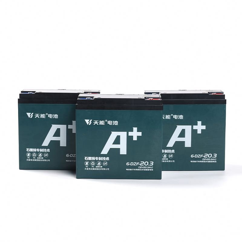 Factory Factory Ebike Battery Pack 24v 36v 48V 20.3Ah Lead Acid Battery For Electric Bike/scooter