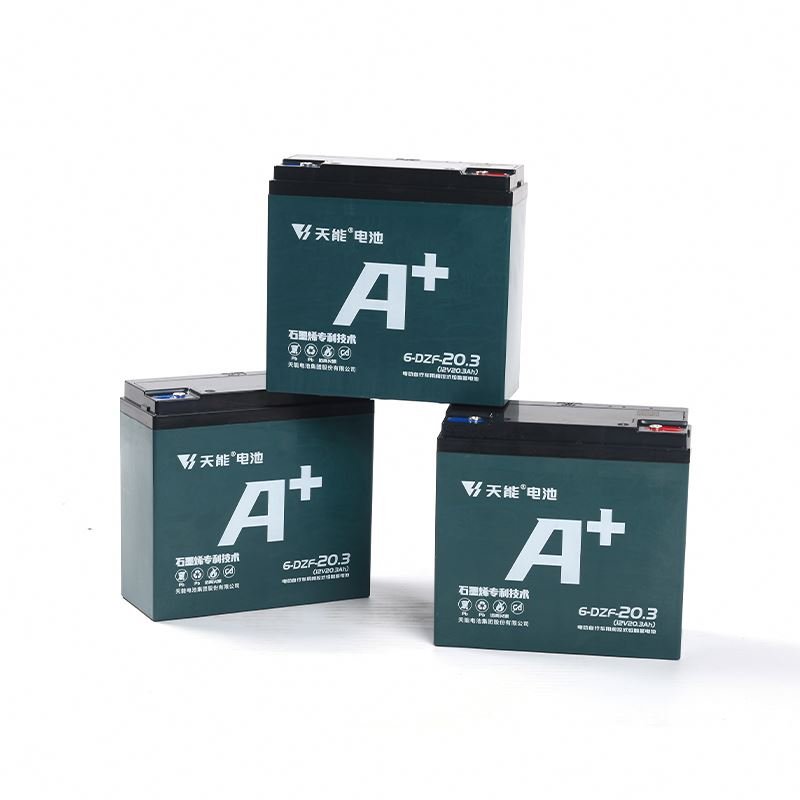 Factory Factory Ebike Battery Pack 24v 36v 48V 20.3Ah Lead Acid Battery For Electric Bike/scooter