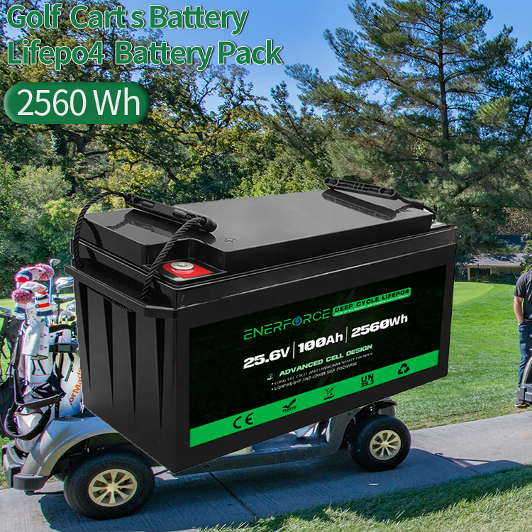 IP65 Waterproof Grade A 12V 24V 100Ah 200Ah 300Ah Lifepo4 Akku Customized Solar Lifepo4 Battery Pack for Boat RV
