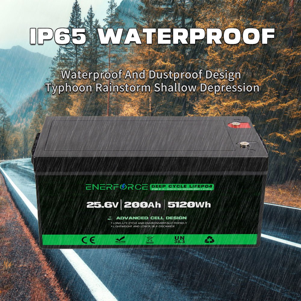 IP65 Waterproof Grade A 12V 24V 100Ah 200Ah 300Ah Lifepo4 Akku Customized Solar Lifepo4 Battery Pack for Boat RV