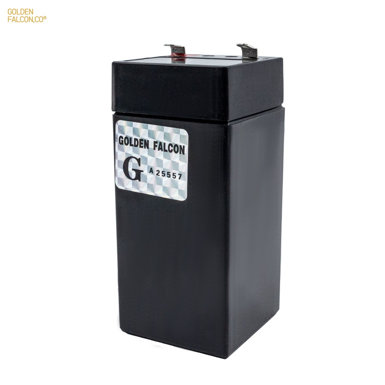 Rechargeable sealed lead acid battery Deep cycle battery 4V 4.5Ah for Home Appliances Electric tool