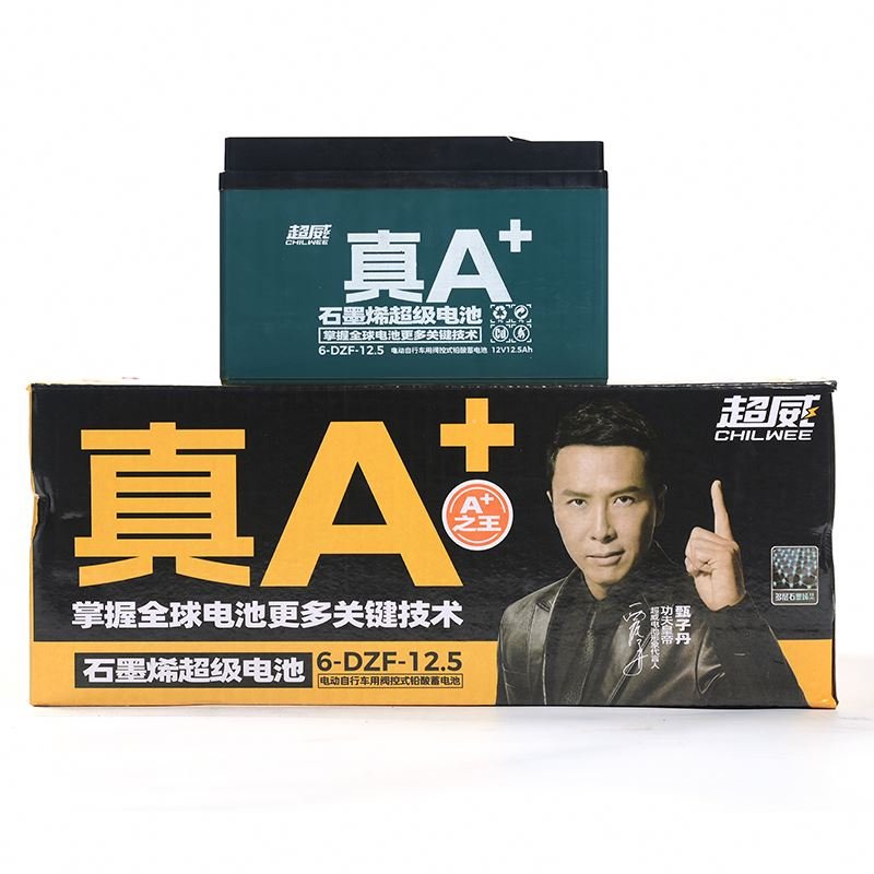 Electric Bicycle Batteries 36V 12.5h Hidden Ebike Battery Ebike Hidden Lead Acid Battery