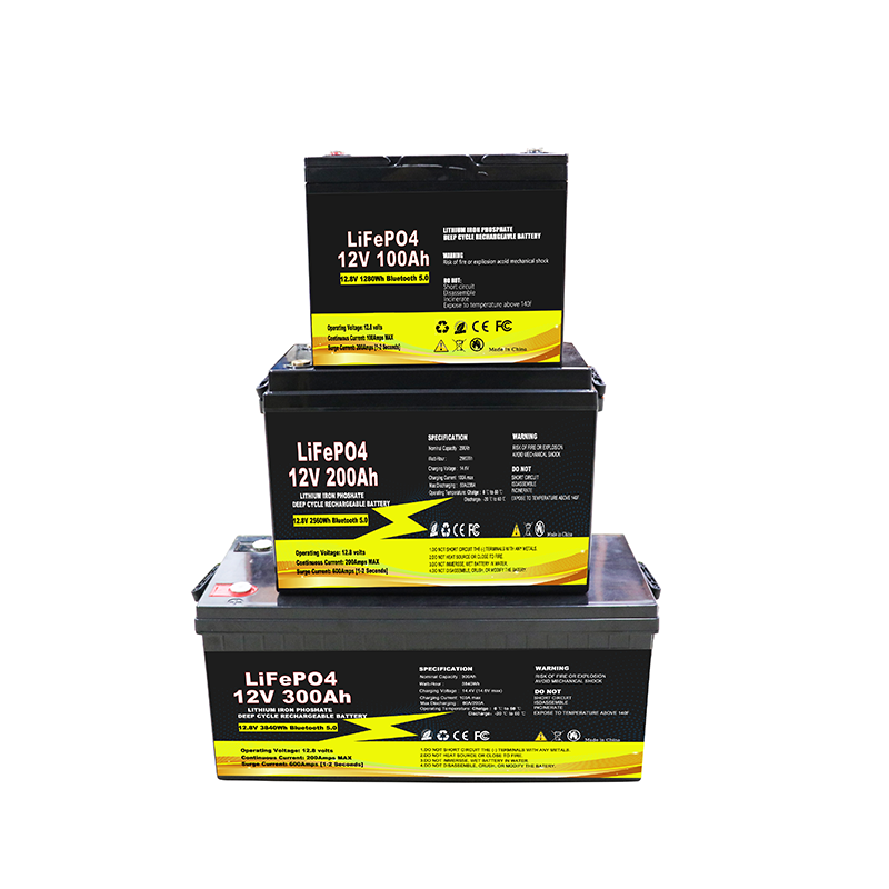 OEM Lifepo4 battery 12v 24v 36v 48v solar battery 100ah 200ah auto rechargeable Lithium ion Lifepo4 batteries