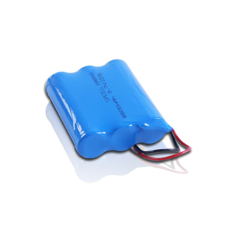 lithium ion battery pack for e-bike and e-scooter li ion battery pack