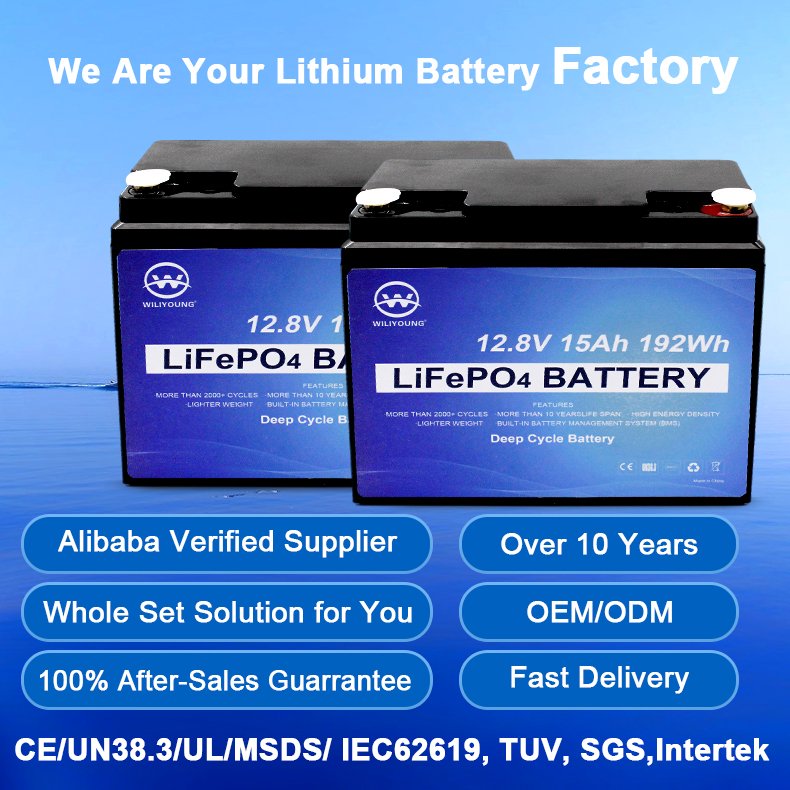 pack lithium 15ah cells 20 ah 40ah lithium 100ah 12v lifepo4 deep cycle battery 12v 50ah lifepo4 battery