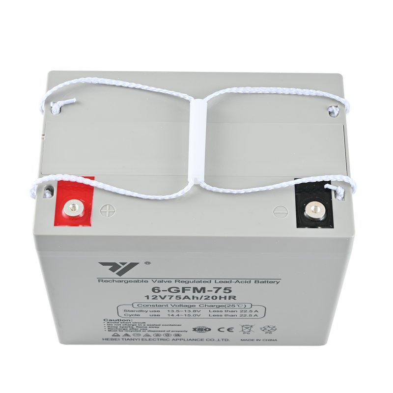 TIANYI UPS EPS Emergency System Fire Fighting Solar Energy Solar Power Energy Storage 12V 75AH 20HR Lead-Acid Battery