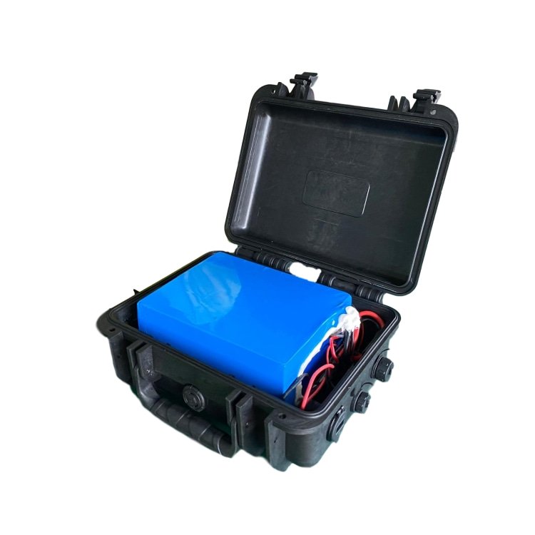 LiTech li ion battery pack 7S1P 24V/25.9V 50Ah waterproof lithium batteries akku for motorized hovercraft boat propeller
