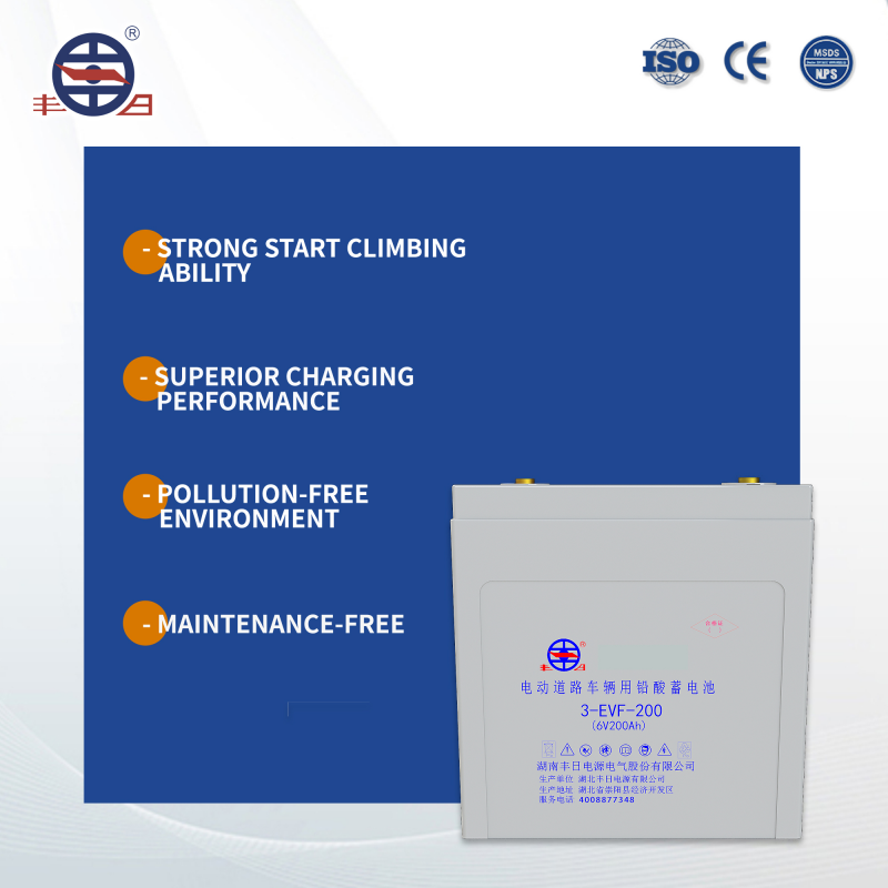 3-EVF-200 Lead Acid Battery China Best Seller Long Service Life Sealed 6V 200ah Lifepo4 Battery Cell Flat Plate Over 5 Years 600