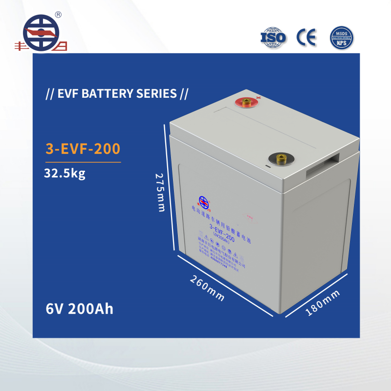 3-EVF-200 Lead Acid Battery China Best Seller Long Service Life Sealed 6V 200ah Lifepo4 Battery Cell Flat Plate Over 5 Years 600