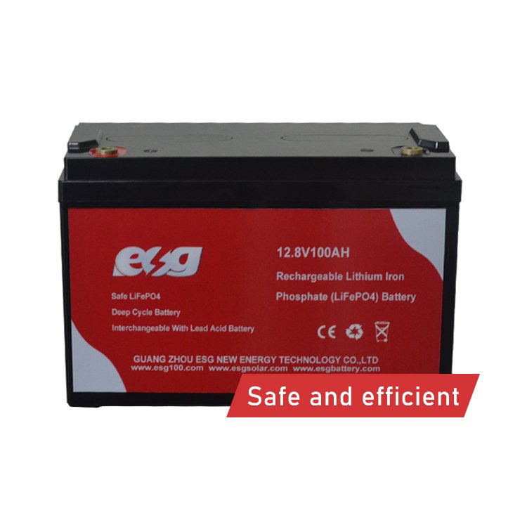 ESG Lifepo4 12.8v 60v 20ah 100ah 200ah BMS lithium ion batteries 6v 20ah 12volt high discharge lithium battery
