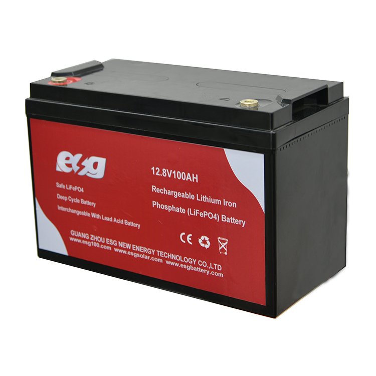ESG Lifepo4 12.8v 60v 20ah 100ah 200ah BMS lithium ion batteries 6v 20ah 12volt high discharge lithium battery