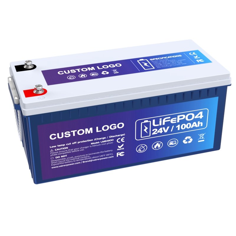 24v 100ah 200ah energy storage battery Lithium Ion Battery Pack 25.6v 100ah 200ah lifepo4 battery for RV camping