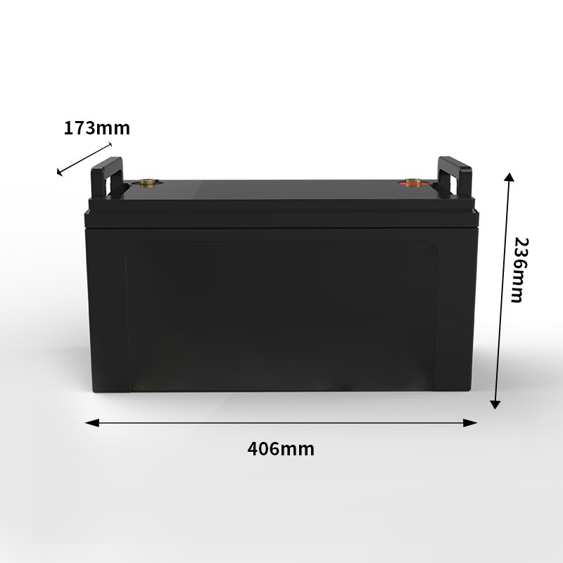 12.8V 100Ah lithium iron phosphate battery ABS Lead Acid Batteries For Ups