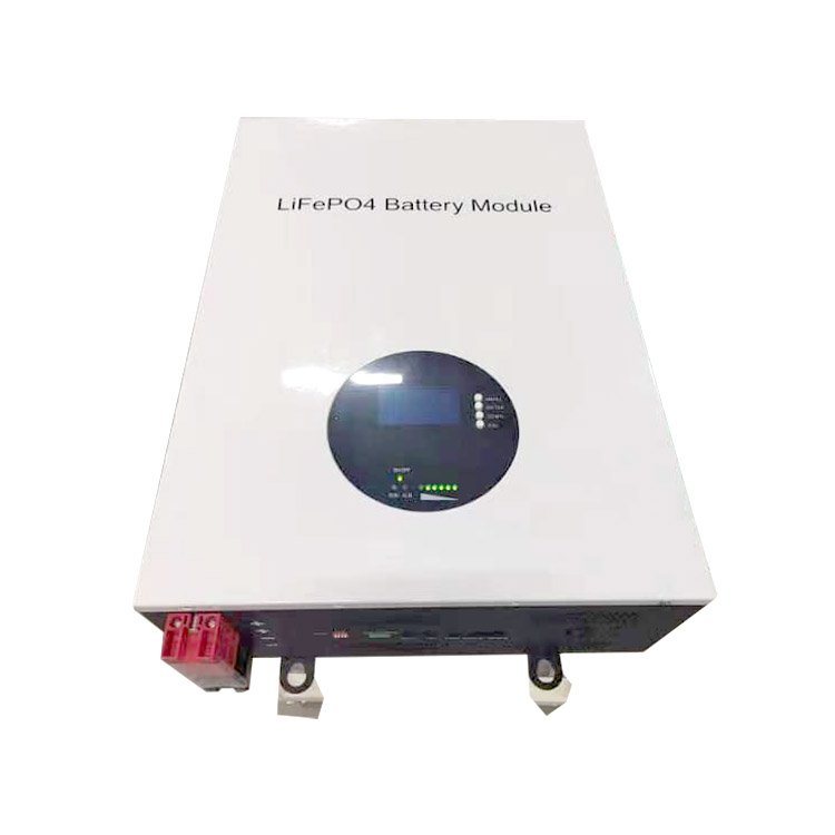 Zhuowei 48v/51.2v Lithium Iron Phosphate Battery Pack