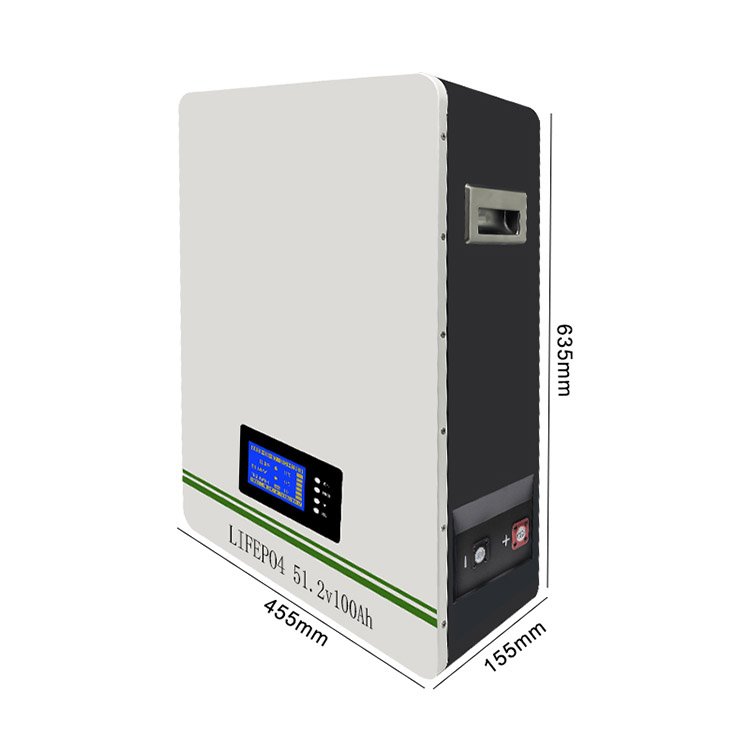 Zhuowei 48v/51.2v Lithium Iron Phosphate Battery Pack