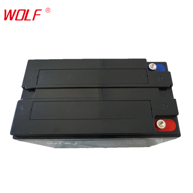 6-EVF-45 Lead Acid Deep Cycle Rechargeable 12v 45ah Battery